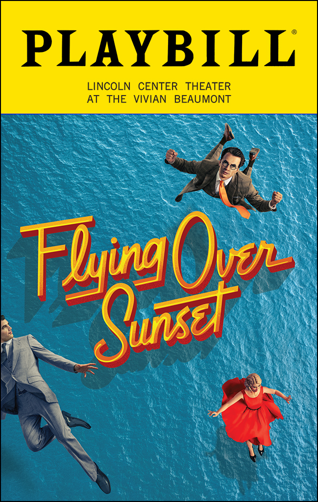 Flying Over Sunset