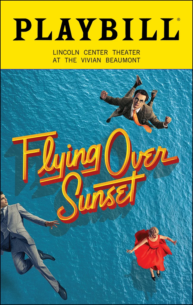 Flying Over Sunset